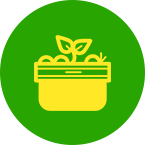 仿生態(tài)栽培